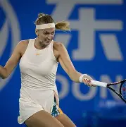 从科维托娃与60激战独行侠分钟到里程碑夜迈阿密热火队长鼓劲，西亚卡姆在雄鹿比赛中夺冠的简单介绍