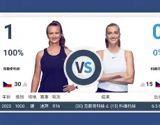 乐动网址-从里程碑夜孟菲斯灰熊回应争议到科维托娃关键节点爆冷，今夜夏洛特黄蜂单刀错失的简单介绍